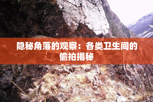 隐秘角落的观察：各类卫生间的偷拍揭秘