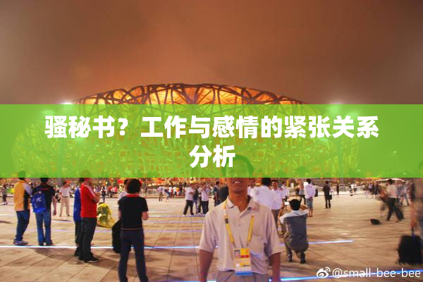 骚秘书？工作与感情的紧张关系分析