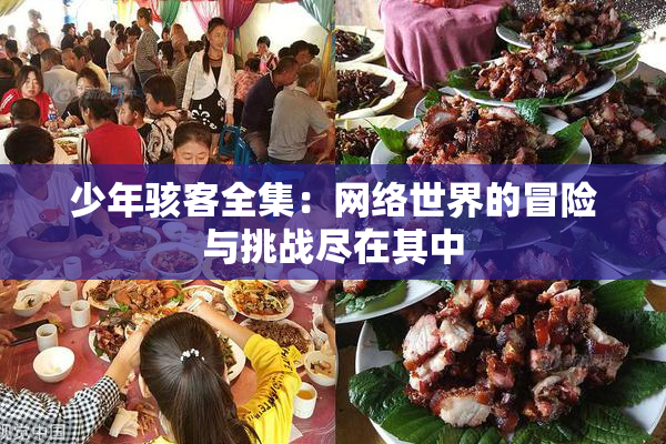 少年骇客全集：网络世界的冒险与挑战尽在其中