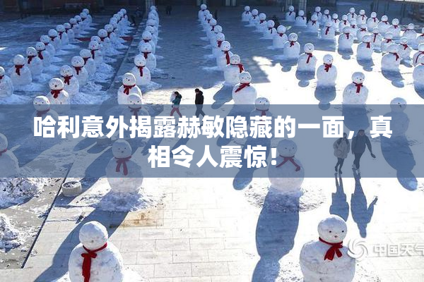 哈利意外揭露赫敏隐藏的一面，真相令人震惊！
