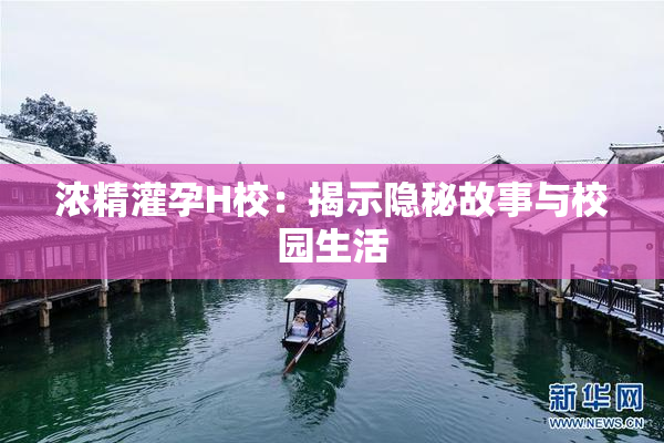 浓精灌孕H校：揭示隐秘故事与校园生活
