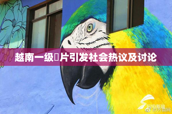 越南一级婬片引发社会热议及讨论