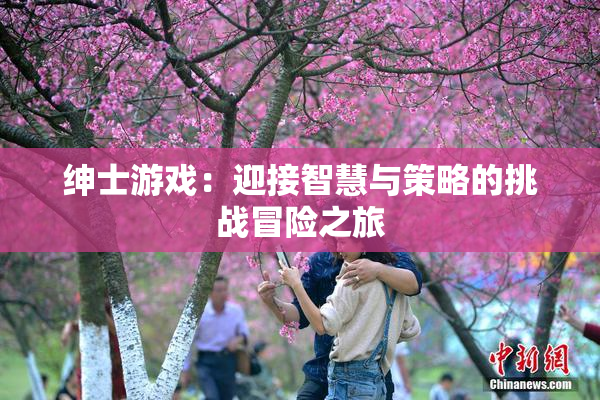 绅士游戏：迎接智慧与策略的挑战冒险之旅