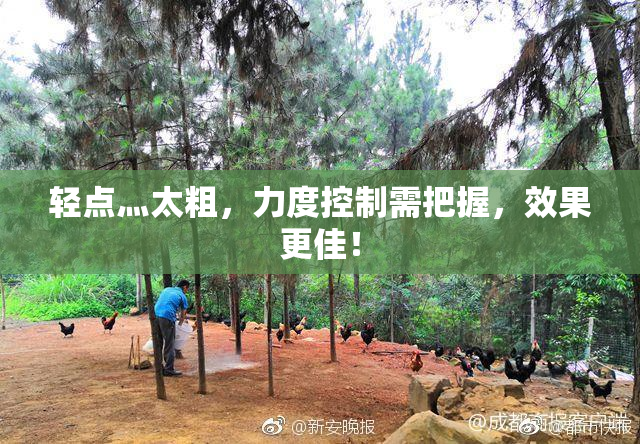 轻点灬太粗，力度控制需把握，效果更佳！