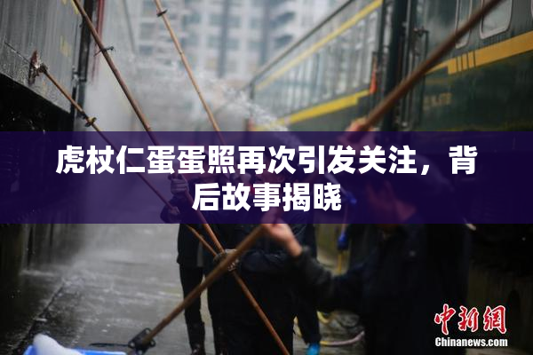 虎杖仁蛋蛋照再次引发关注，背后故事揭晓