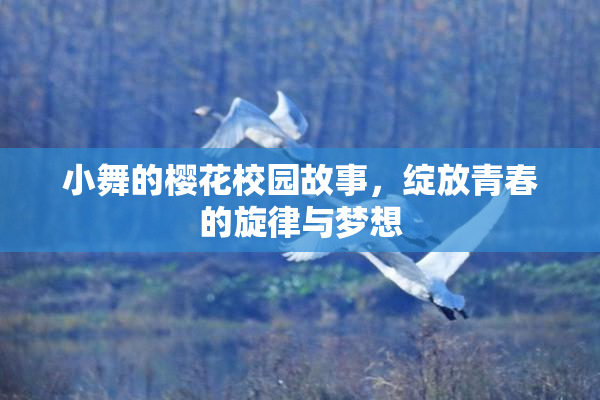 小舞的樱花校园故事，绽放青春的旋律与梦想