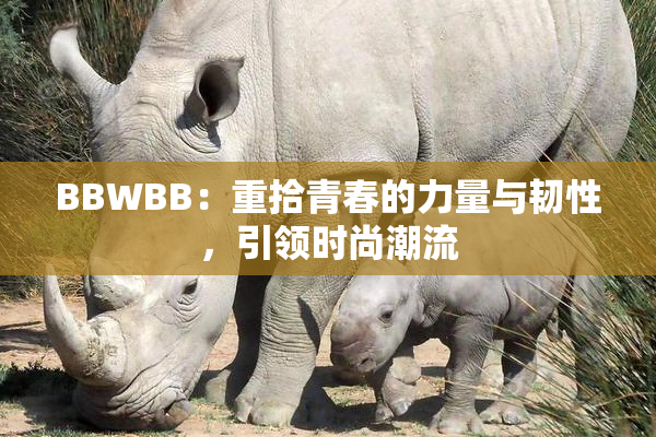 BBWBB：重拾青春的力量与韧性，引领时尚潮流