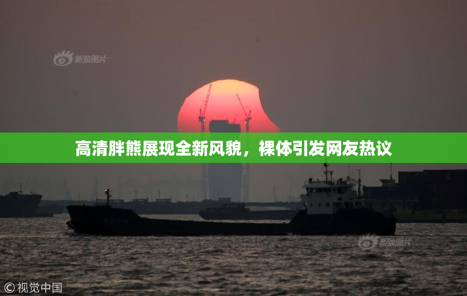 高清胖熊展现全新风貌，裸体引发网友热议
