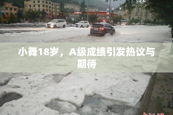 小舞18岁，A级成绩引发热议与期待