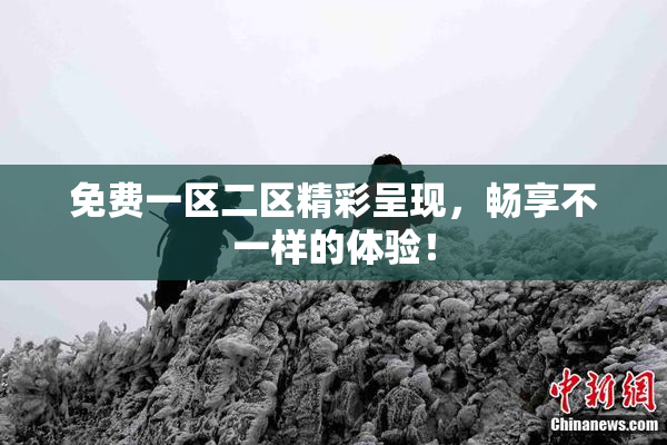 免费一区二区精彩呈现，畅享不一样的体验！