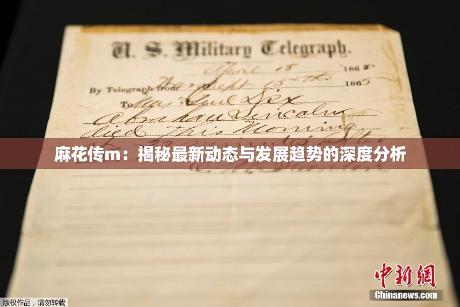 麻花传m：揭秘最新动态与发展趋势的深度分析
