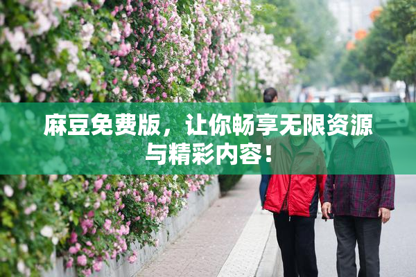 麻豆免费版，让你畅享无限资源与精彩内容！