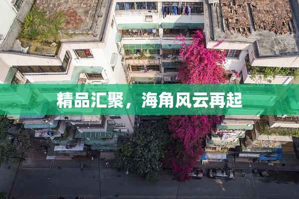 精品汇聚，海角风云再起