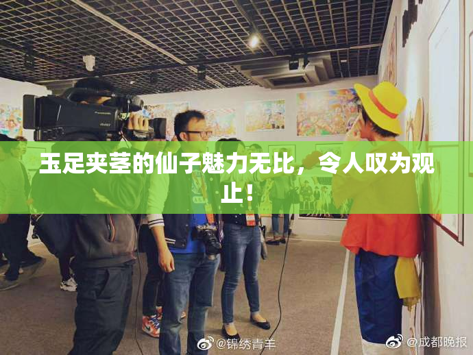 玉足夹茎的仙子魅力无比，令人叹为观止！