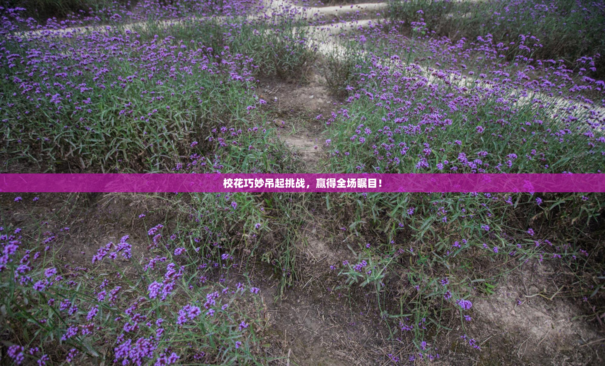 校花巧妙吊起挑战，赢得全场瞩目！