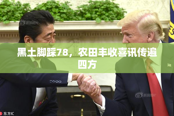 黑土脚踩78，农田丰收喜讯传遍四方