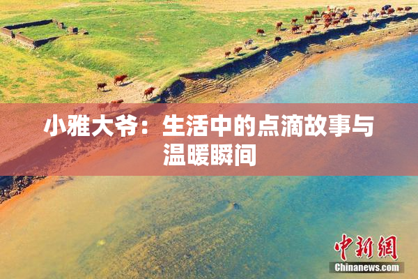 小雅大爷：生活中的点滴故事与温暖瞬间