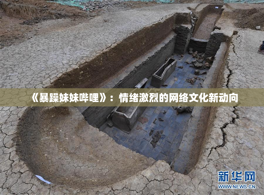 《暴躁妹妹哔哩》：情绪激烈的网络文化新动向