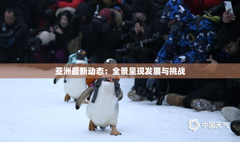 亚洲最新动态：全景呈现发展与挑战