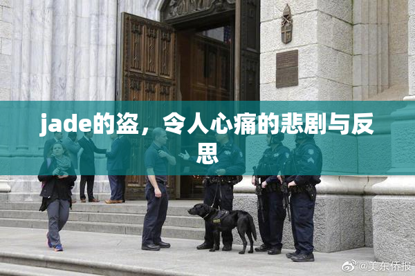 jade的盗，令人心痛的悲剧与反思