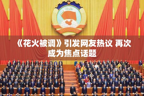 《花火被调》引发网友热议 再次成为焦点话题
