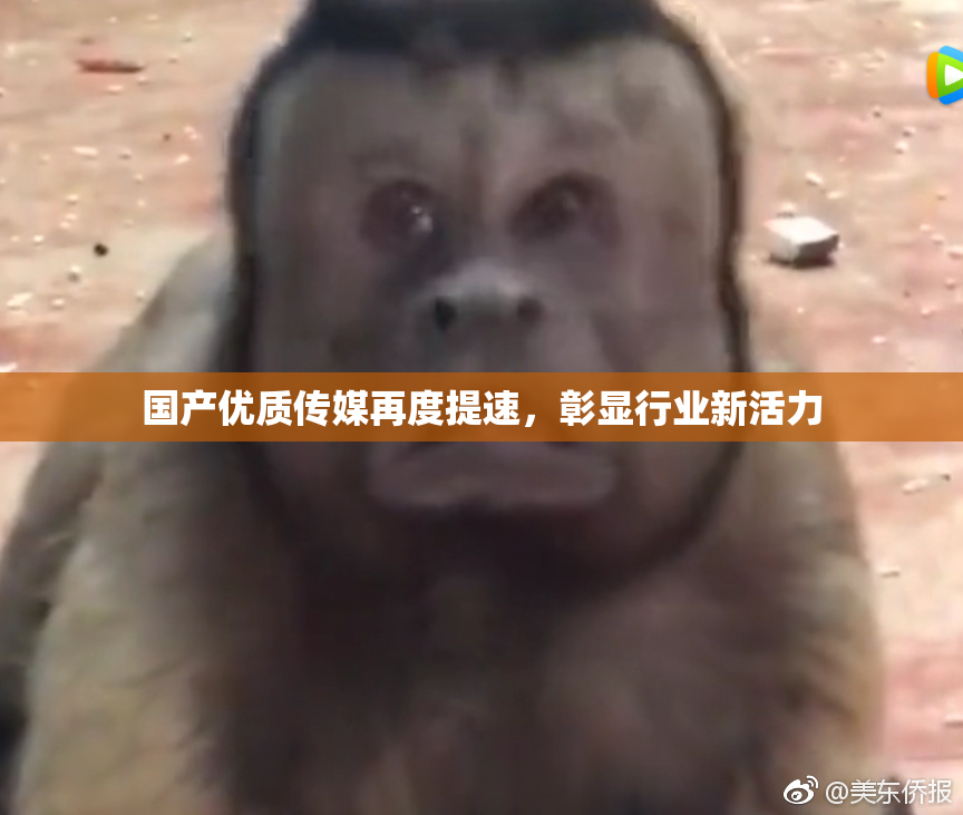 国产优质传媒再度提速，彰显行业新活力