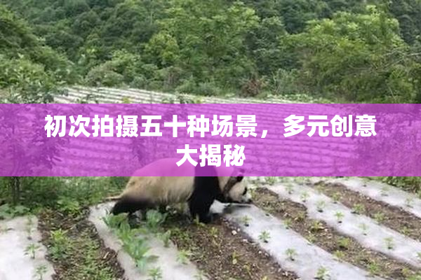 初次拍摄五十种场景，多元创意大揭秘