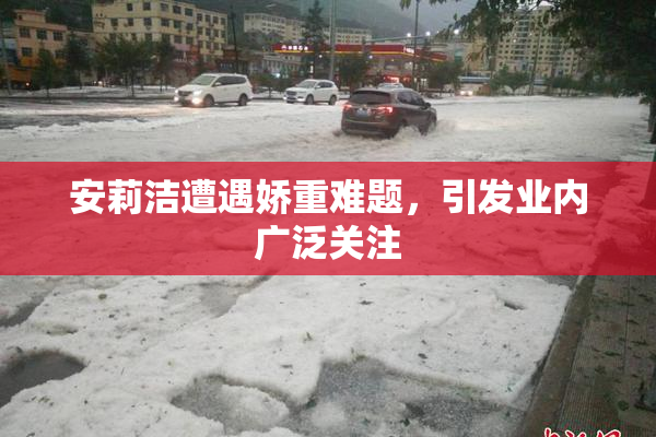 安莉洁遭遇娇重难题，引发业内广泛关注