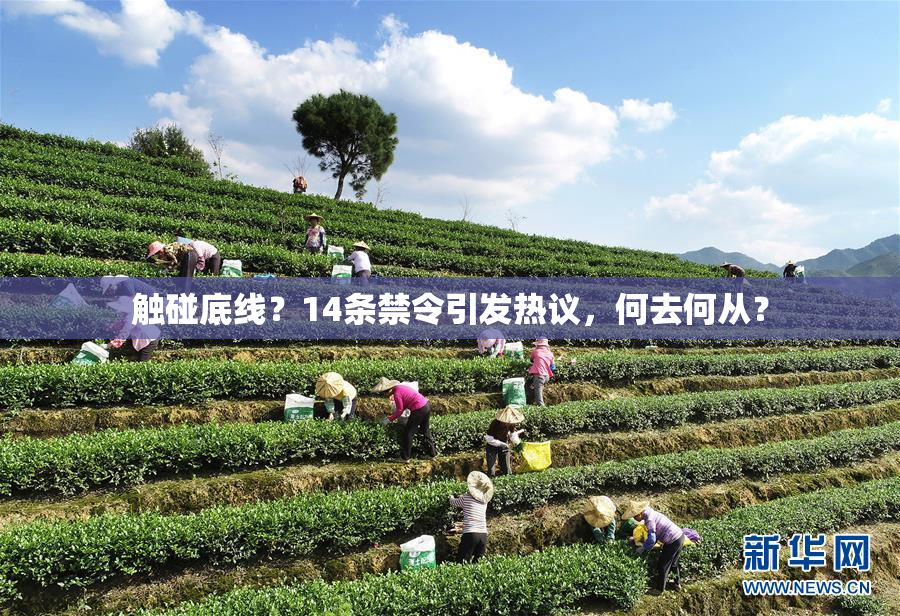 触碰底线？14条禁令引发热议，何去何从？