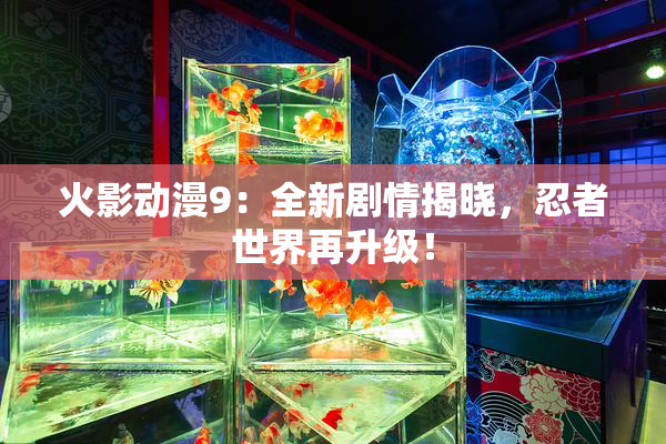 火影动漫9：全新剧情揭晓，忍者世界再升级！