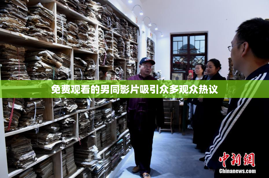 免费观看的男同影片吸引众多观众热议