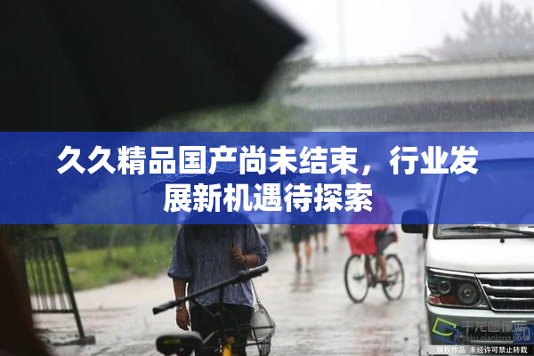 久久精品国产尚未结束，行业发展新机遇待探索