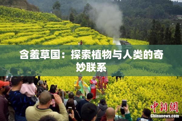 含羞草国：探索植物与人类的奇妙联系