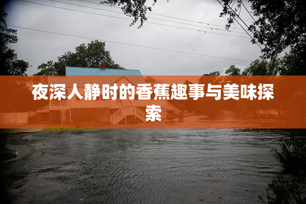 夜深人静时的香蕉趣事与美味探索