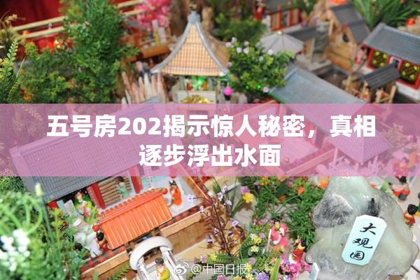 五号房202揭示惊人秘密，真相逐步浮出水面