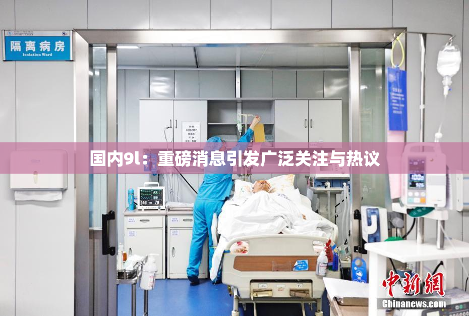 国内9l：重磅消息引发广泛关注与热议
