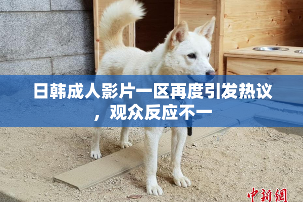日韩成人影片一区再度引发热议，观众反应不一