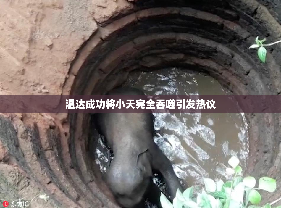 温达成功将小天完全吞噬引发热议
