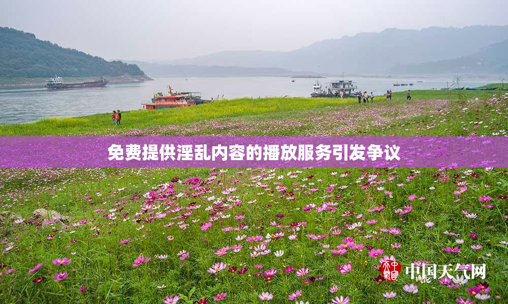 免费提供淫乱内容的播放服务引发争议