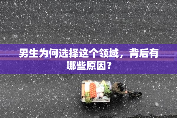 男生为何选择这个领域，背后有哪些原因？