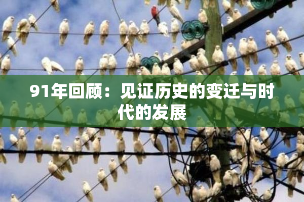 91年回顾：见证历史的变迁与时代的发展