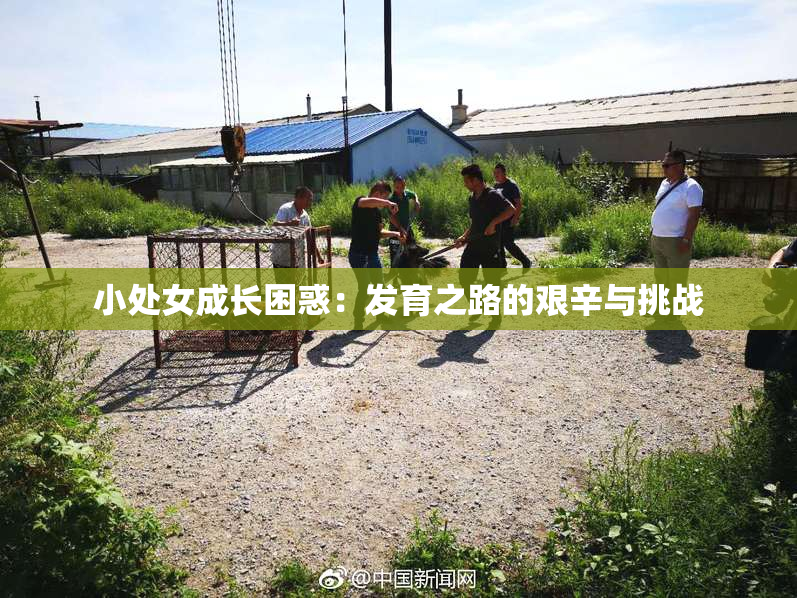 小处女成长困惑：发育之路的艰辛与挑战