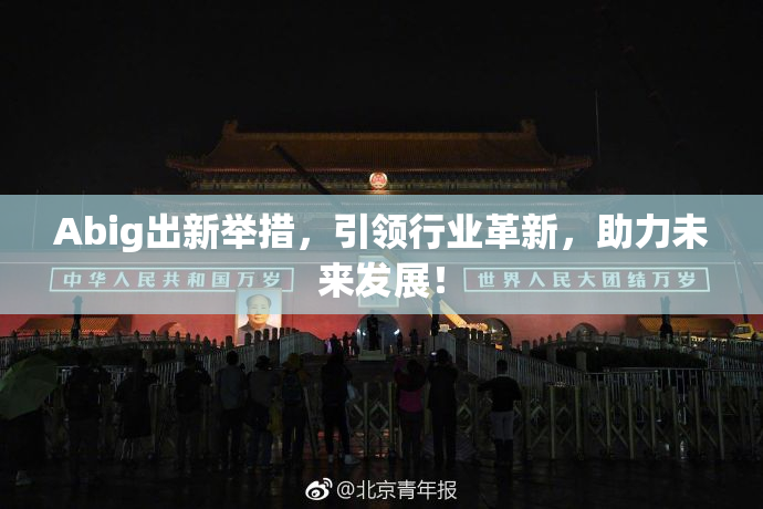 Abig出新举措，引领行业革新，助力未来发展！