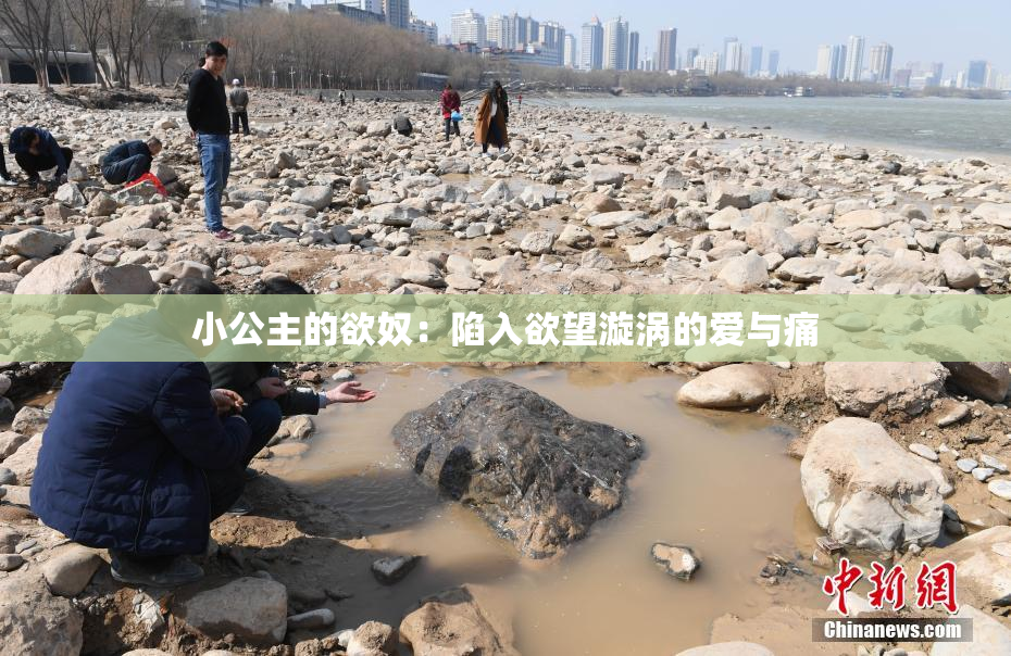 小公主的欲奴：陷入欲望漩涡的爱与痛