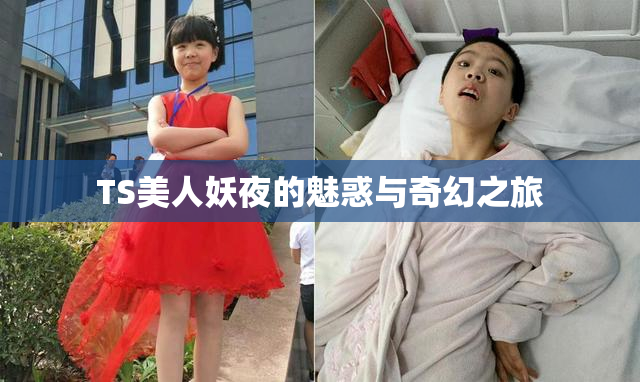 TS美人妖夜的魅惑与奇幻之旅