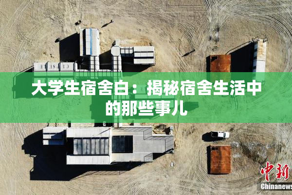大学生宿舍白：揭秘宿舍生活中的那些事儿