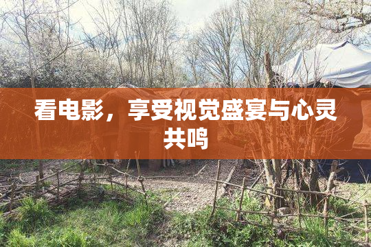 看电影，享受视觉盛宴与心灵共鸣