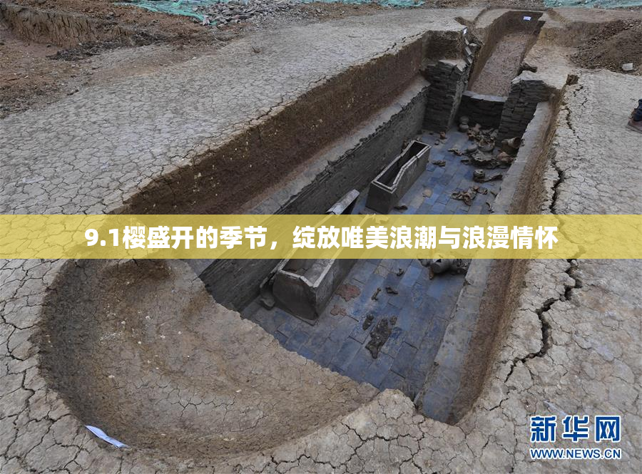 9.1樱盛开的季节，绽放唯美浪潮与浪漫情怀