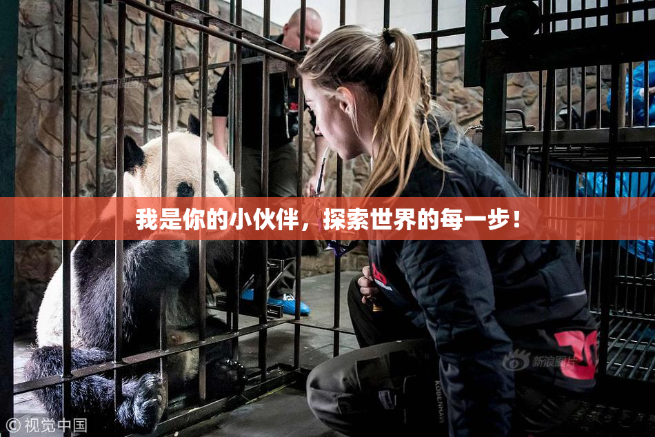 我是你的小伙伴，探索世界的每一步！
