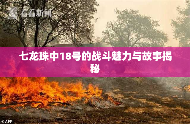 七龙珠中18号的战斗魅力与故事揭秘